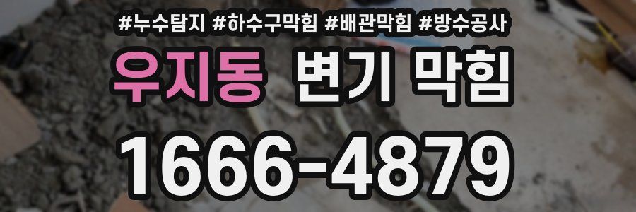 우지동 변기 막힘