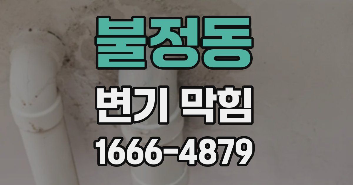 불정동 변기 막힘