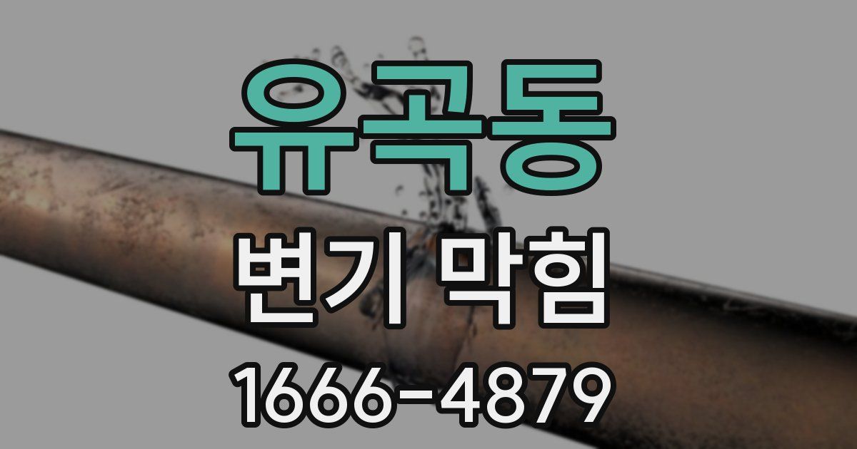 유곡동 변기 막힘