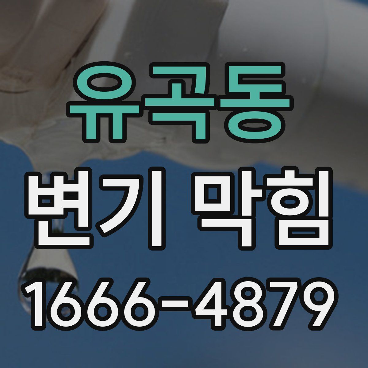 유곡동 변기 막힘