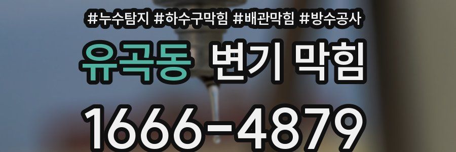 유곡동 변기 막힘