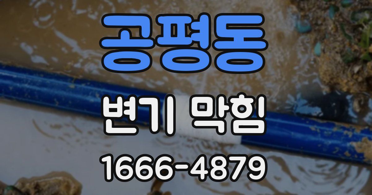 공평동 변기 막힘
