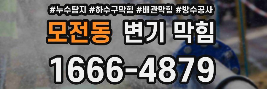 모전동 변기 막힘