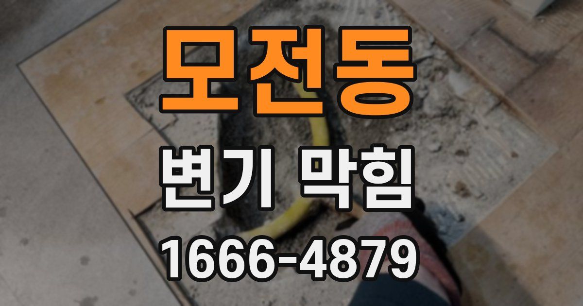 모전동 변기 막힘