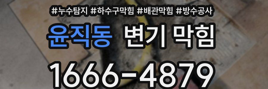윤직동 변기 막힘