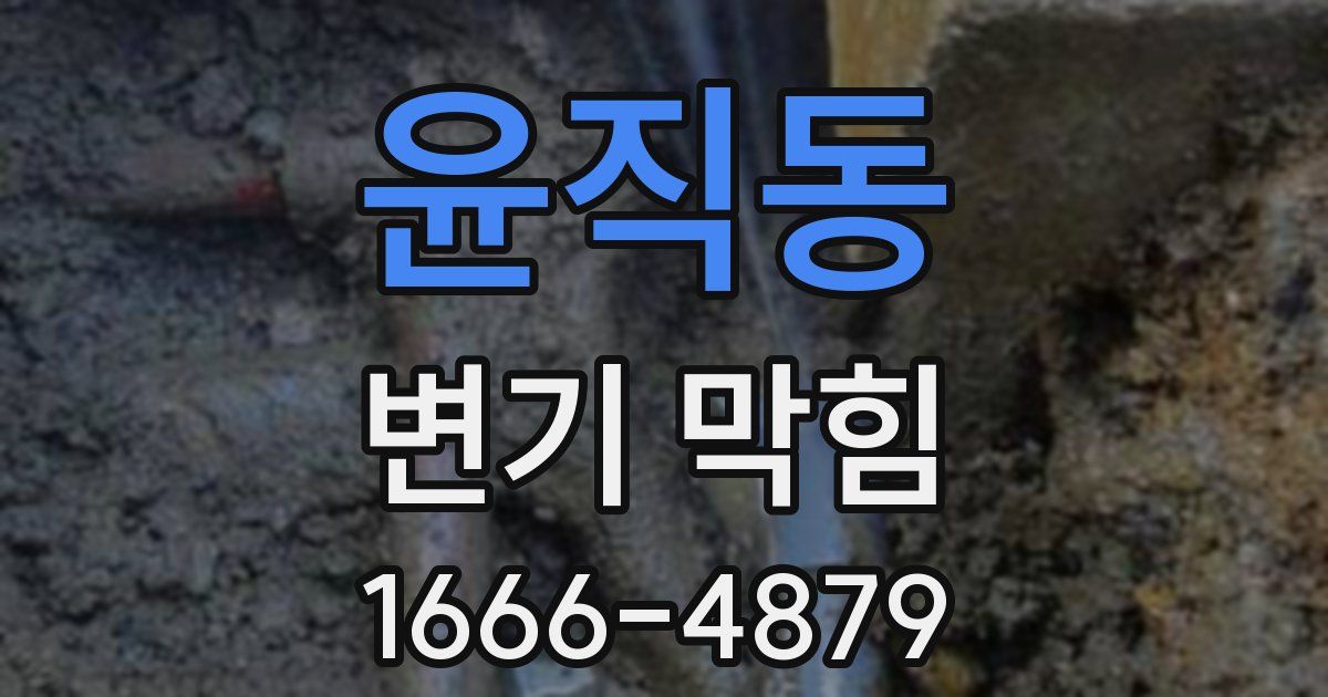윤직동 변기 막힘