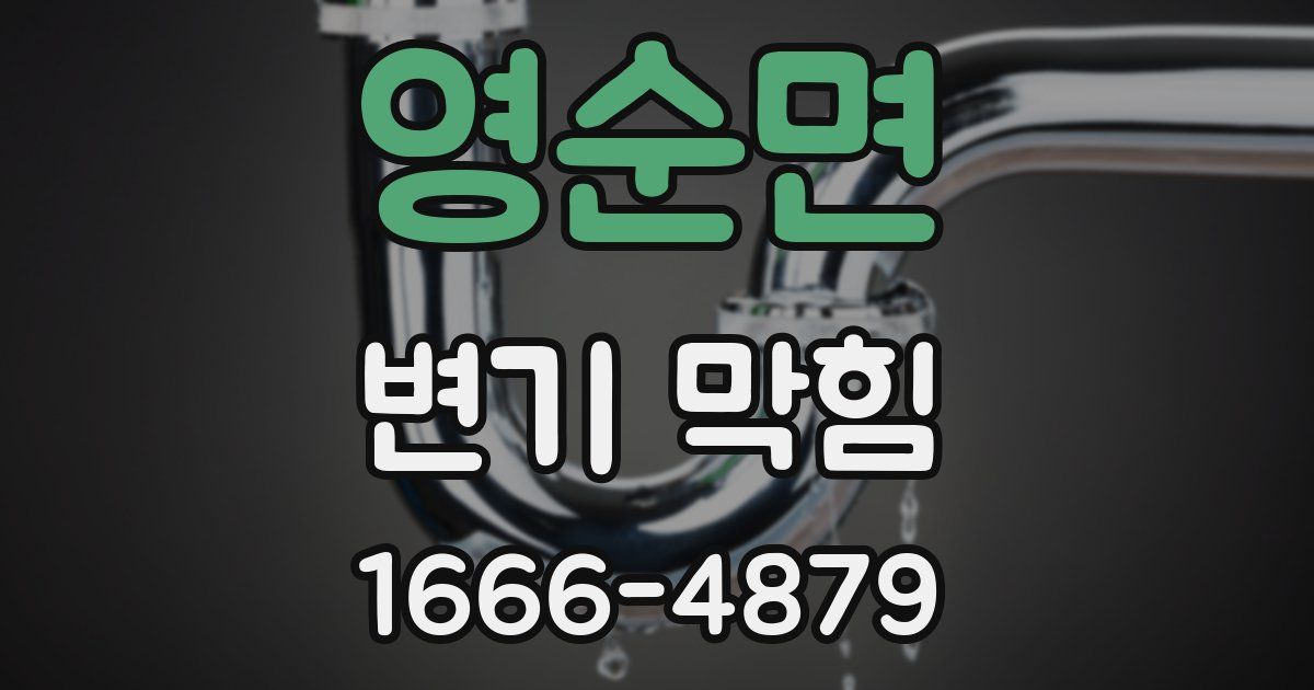 영순면 변기 막힘