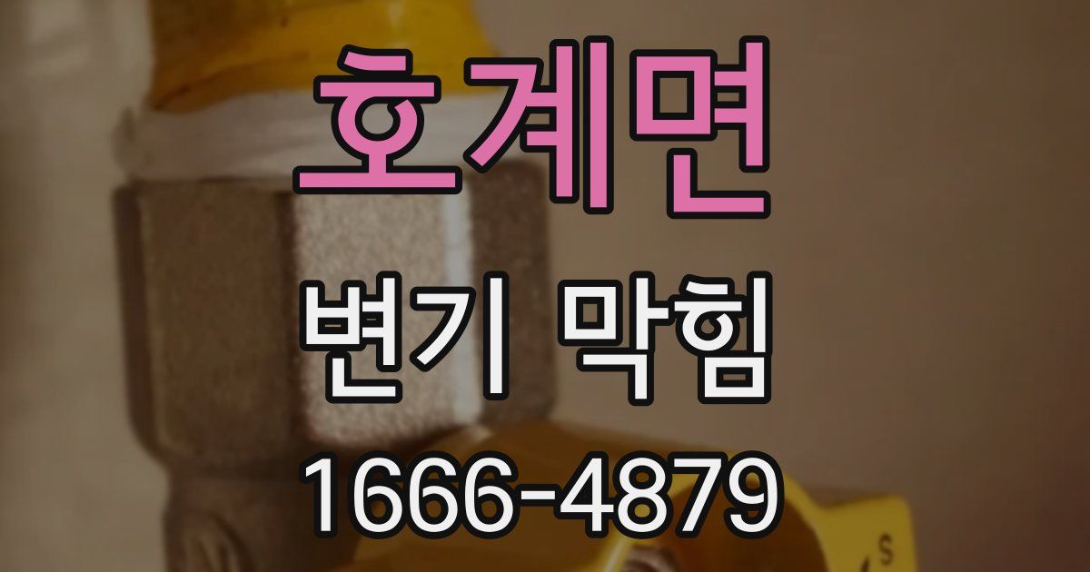 호계면 변기 막힘