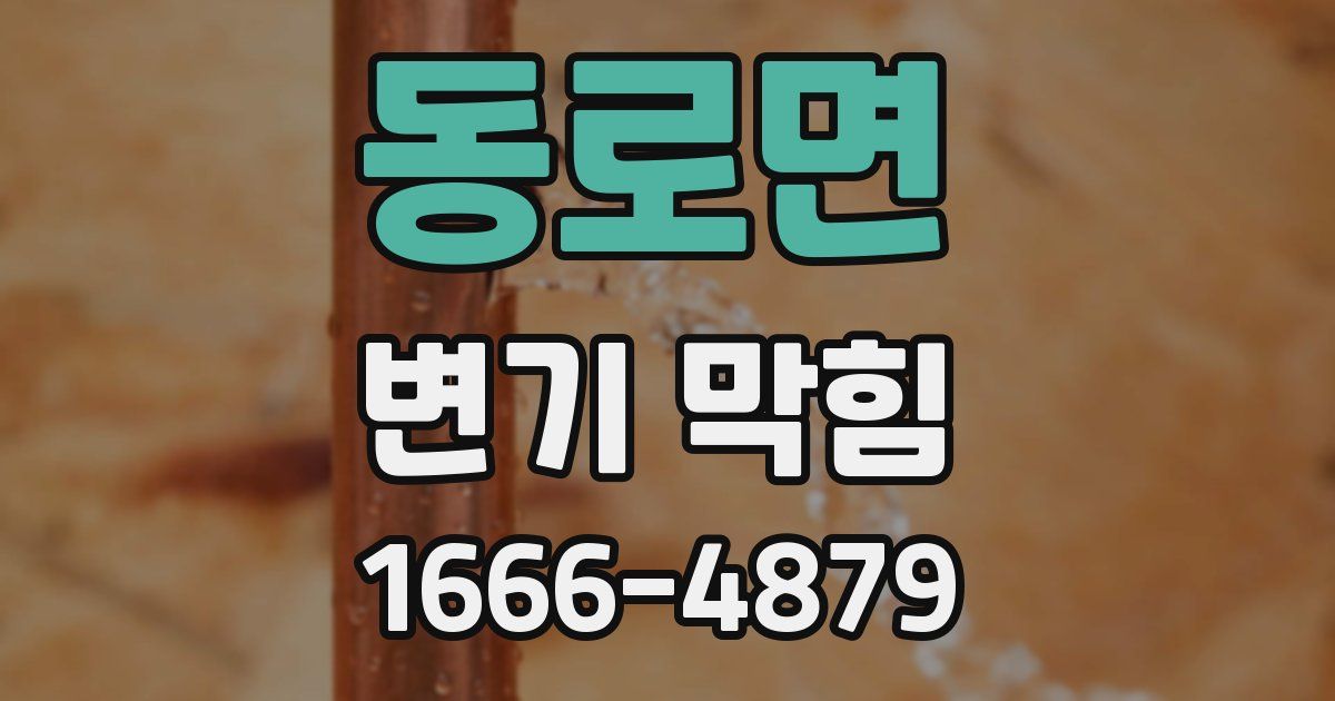 동로면 변기 막힘
