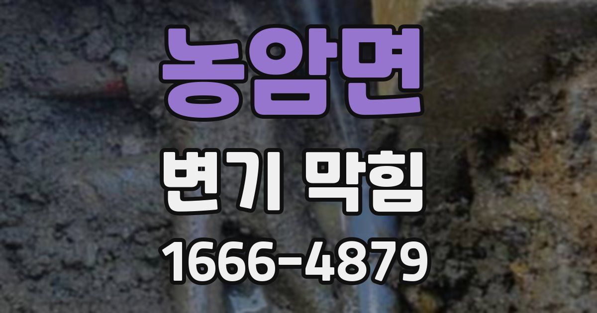 농암면 변기 막힘