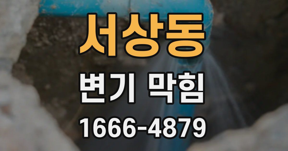 서상동 변기 막힘