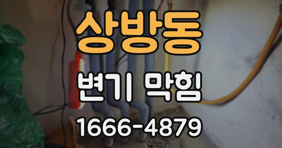 상방동 변기 막힘