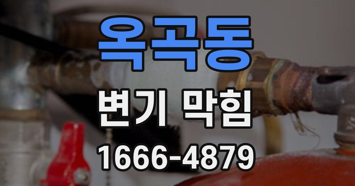 옥곡동 변기 막힘