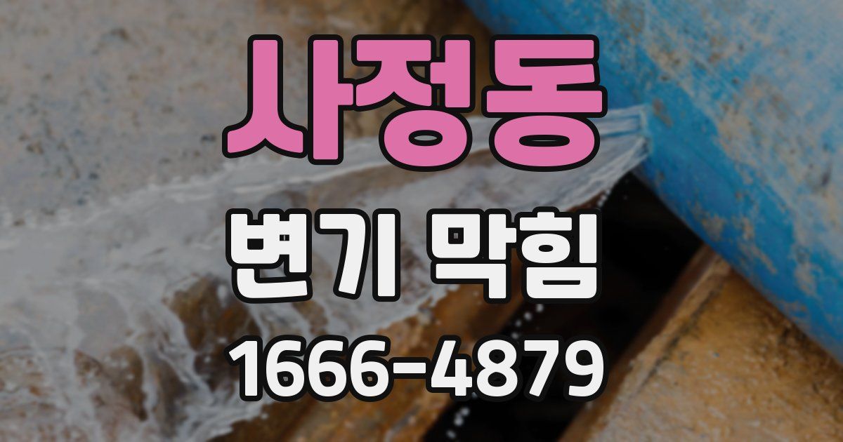 사정동 변기 막힘