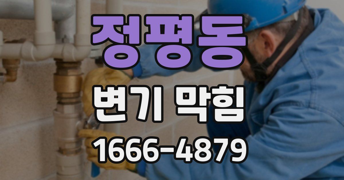 정평동 변기 막힘