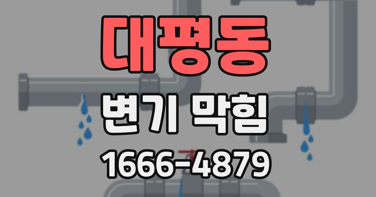 대평동 변기 막힘