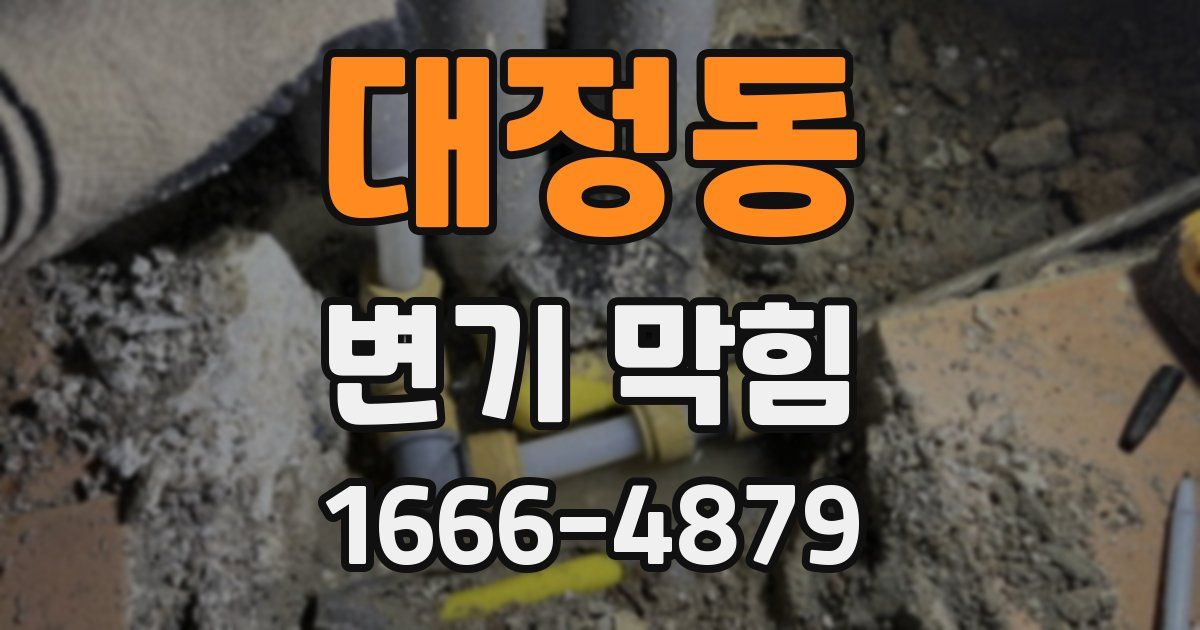 대정동 변기 막힘