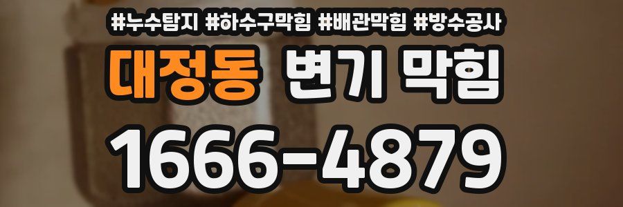 대정동 변기 막힘
