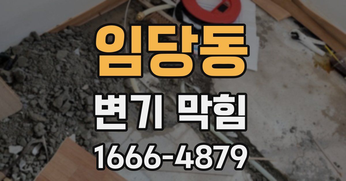 임당동 변기 막힘