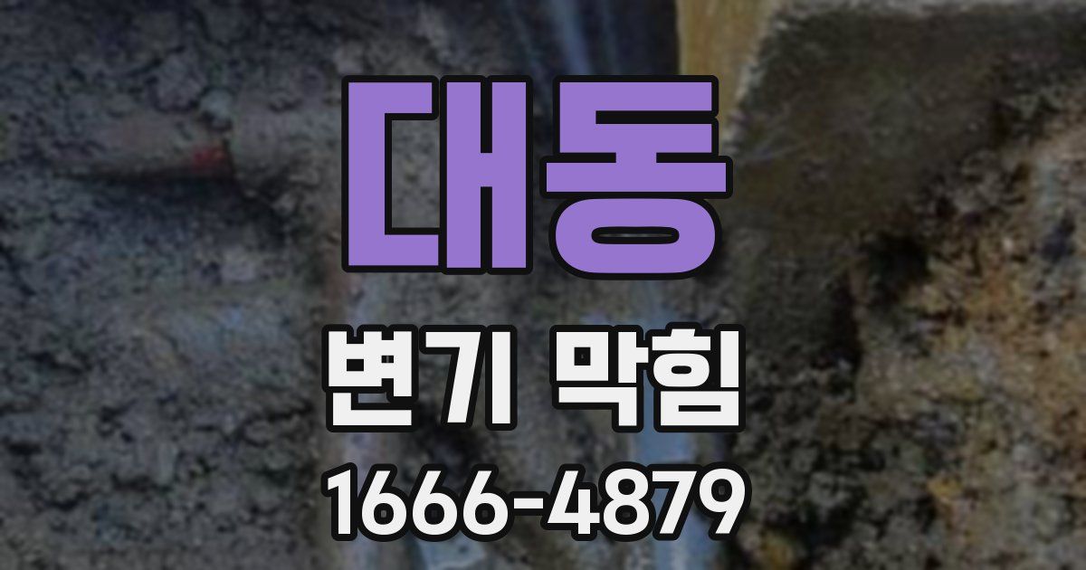 대동 변기 막힘