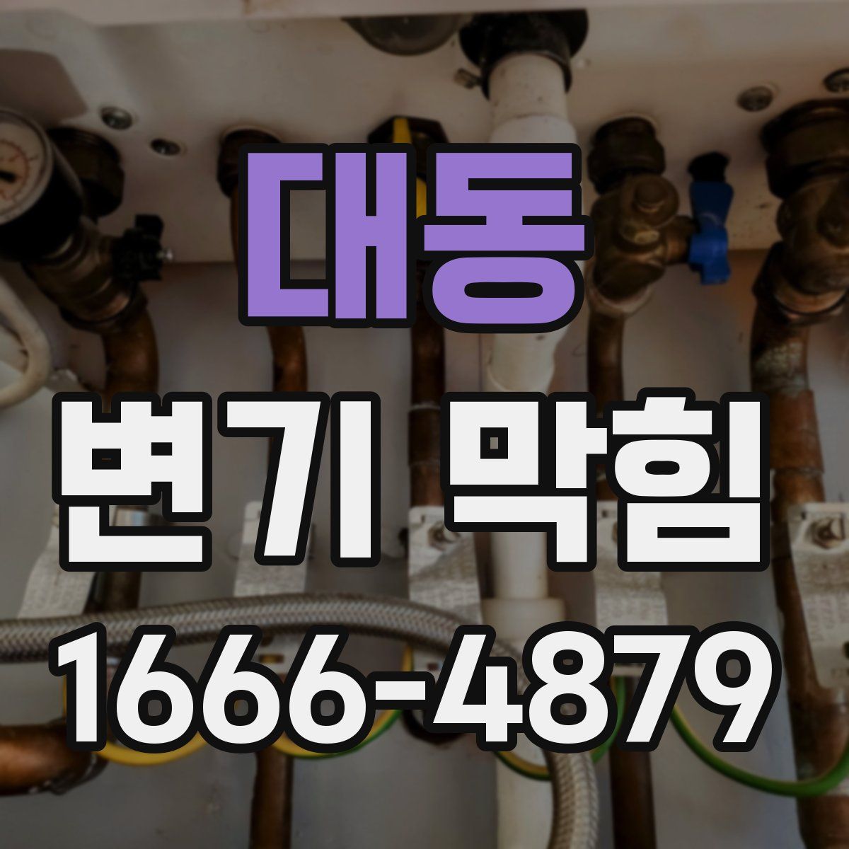 대동 변기 막힘