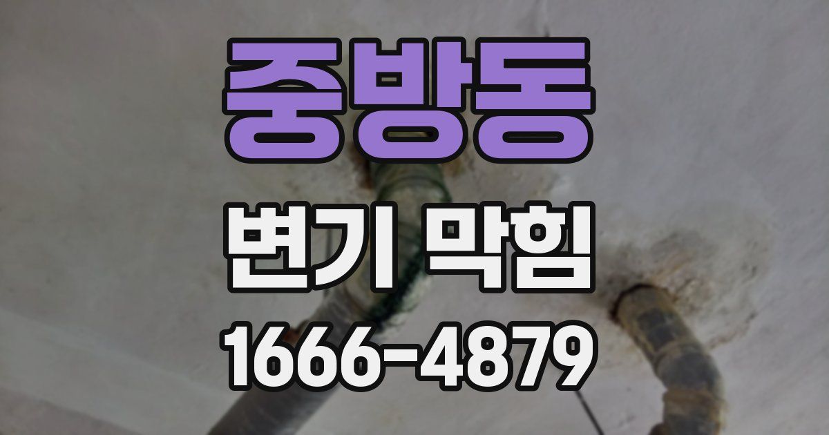 중방동 변기 막힘