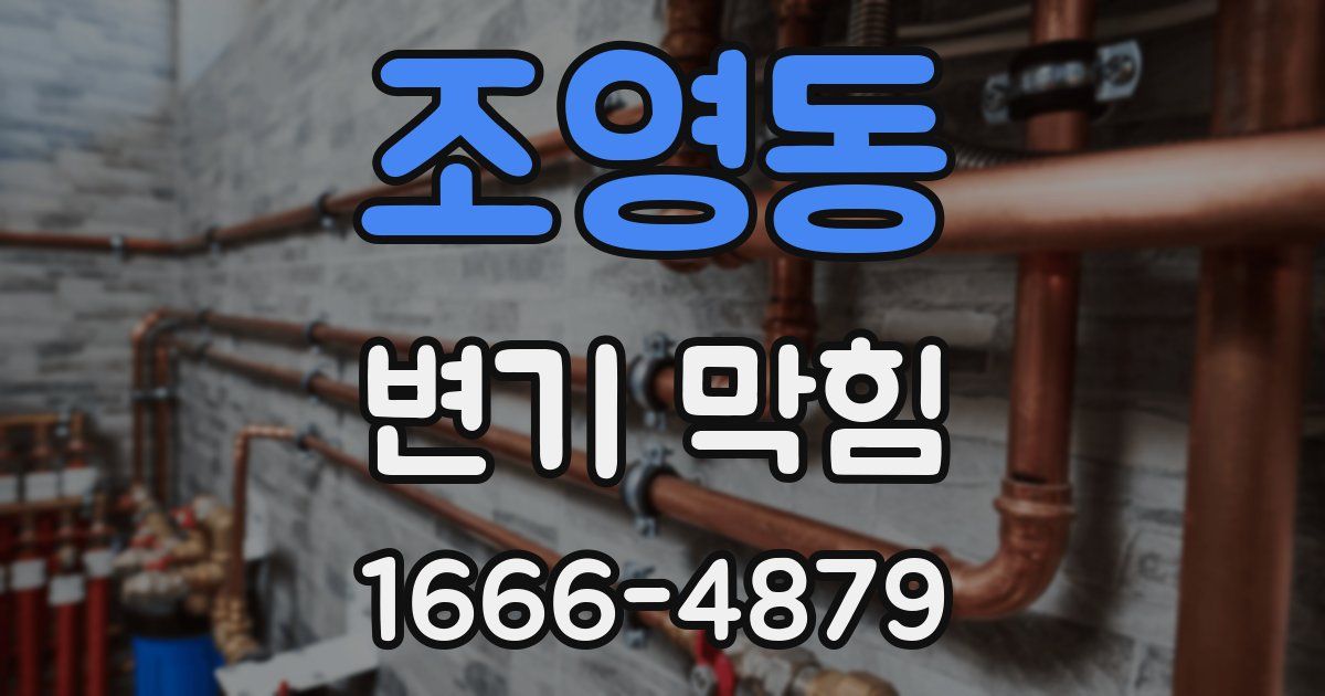 조영동 변기 막힘
