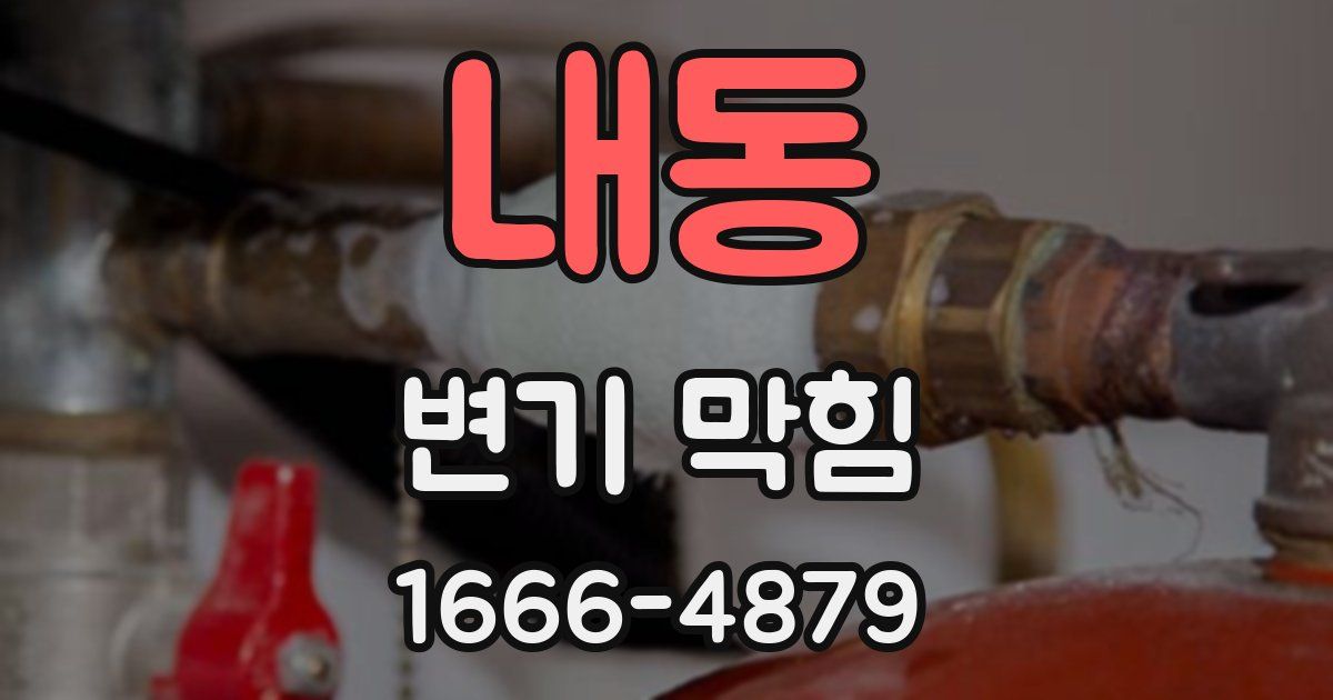 내동 변기 막힘