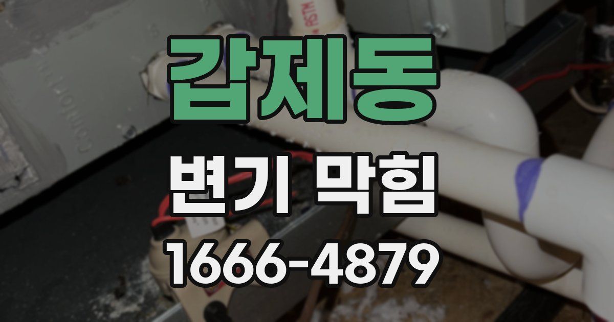 갑제동 변기 막힘