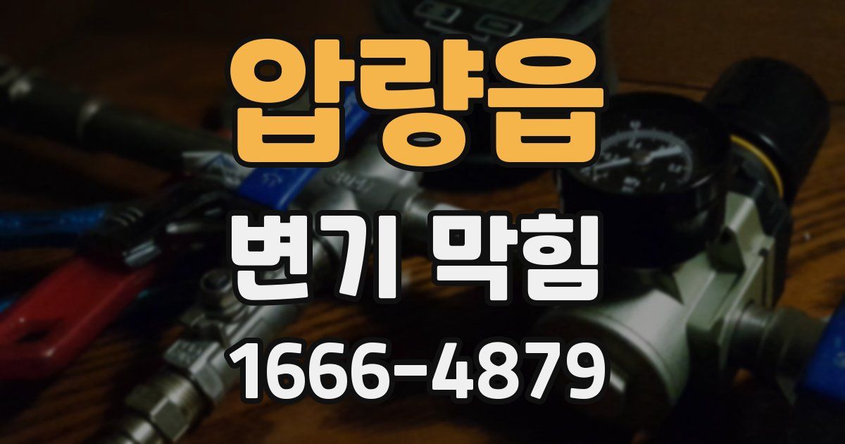 압량읍 변기 막힘