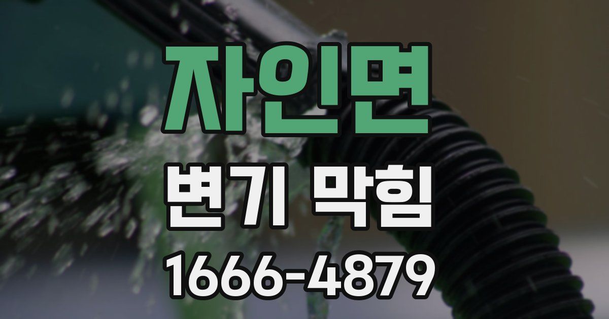 자인면 변기 막힘
