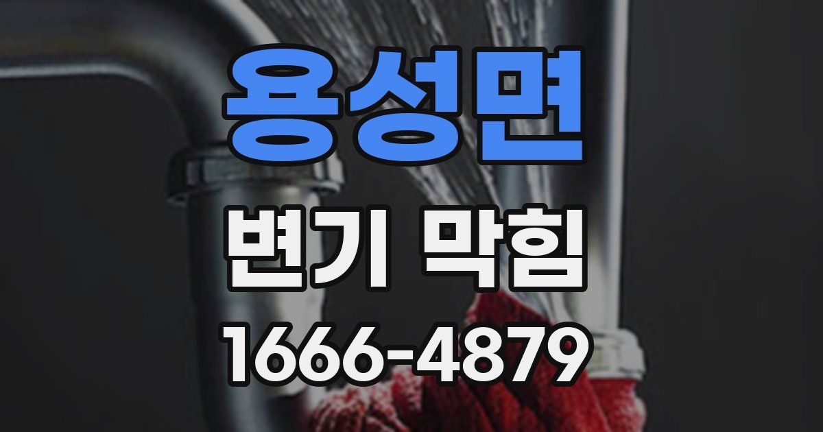 용성면 변기 막힘