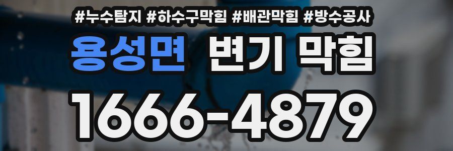 용성면 변기 막힘