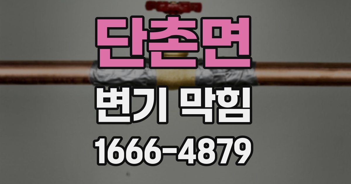 단촌면 변기 막힘