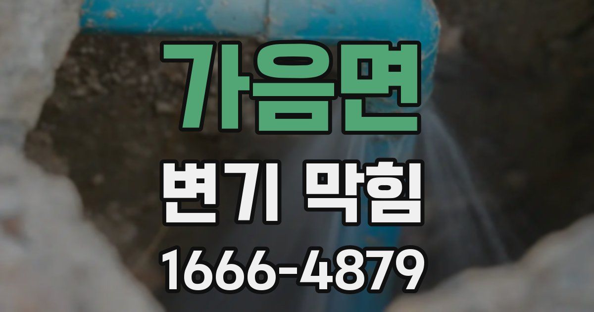 가음면 변기 막힘