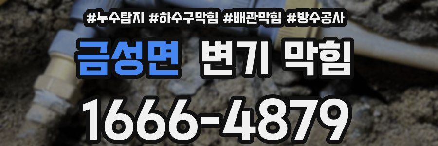 금성면 변기 막힘