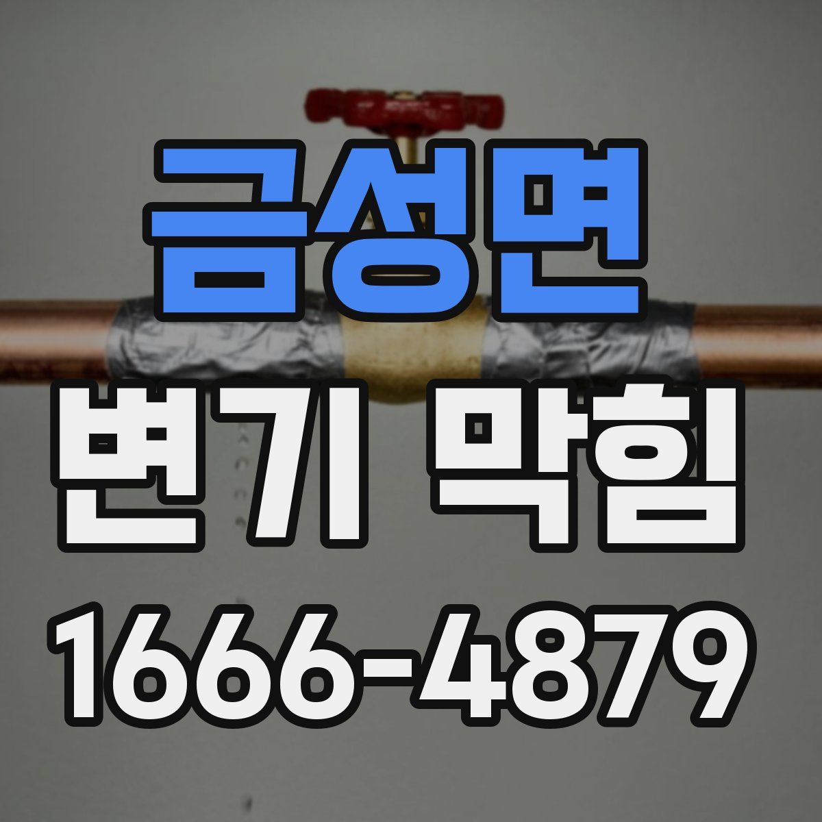 금성면 변기 막힘