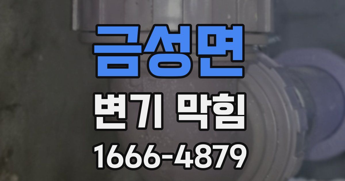 금성면 변기 막힘