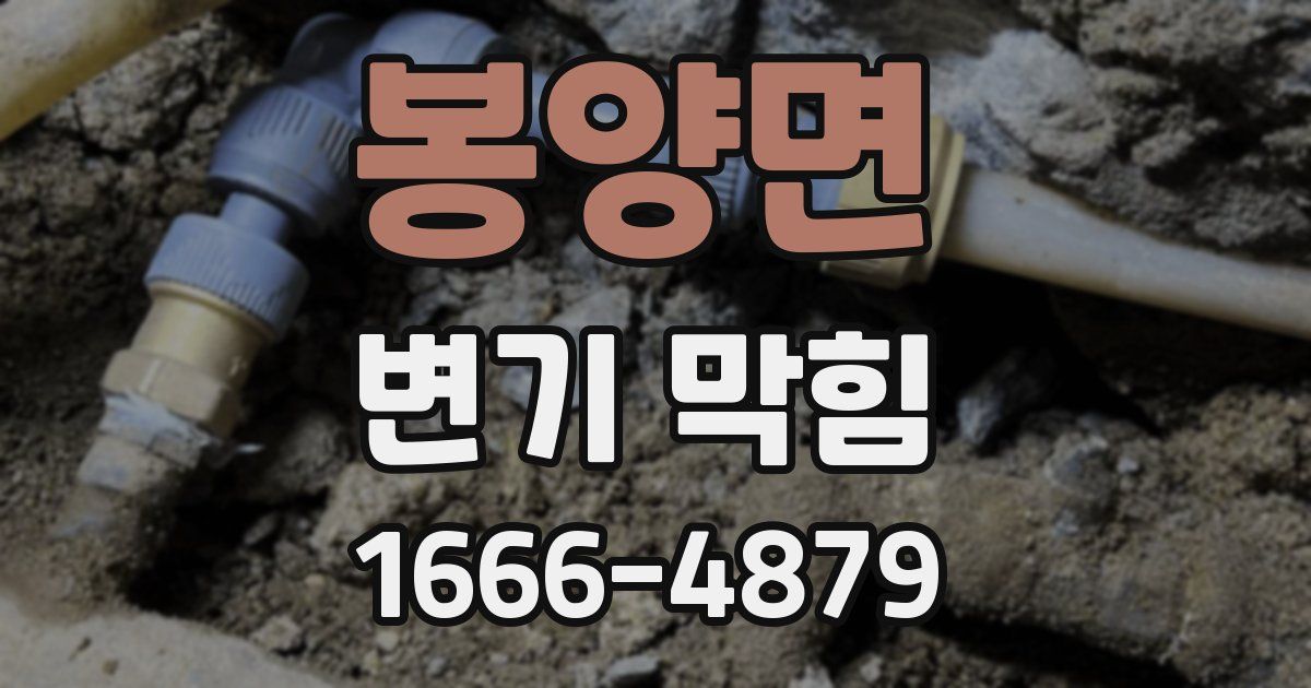 봉양면 변기 막힘
