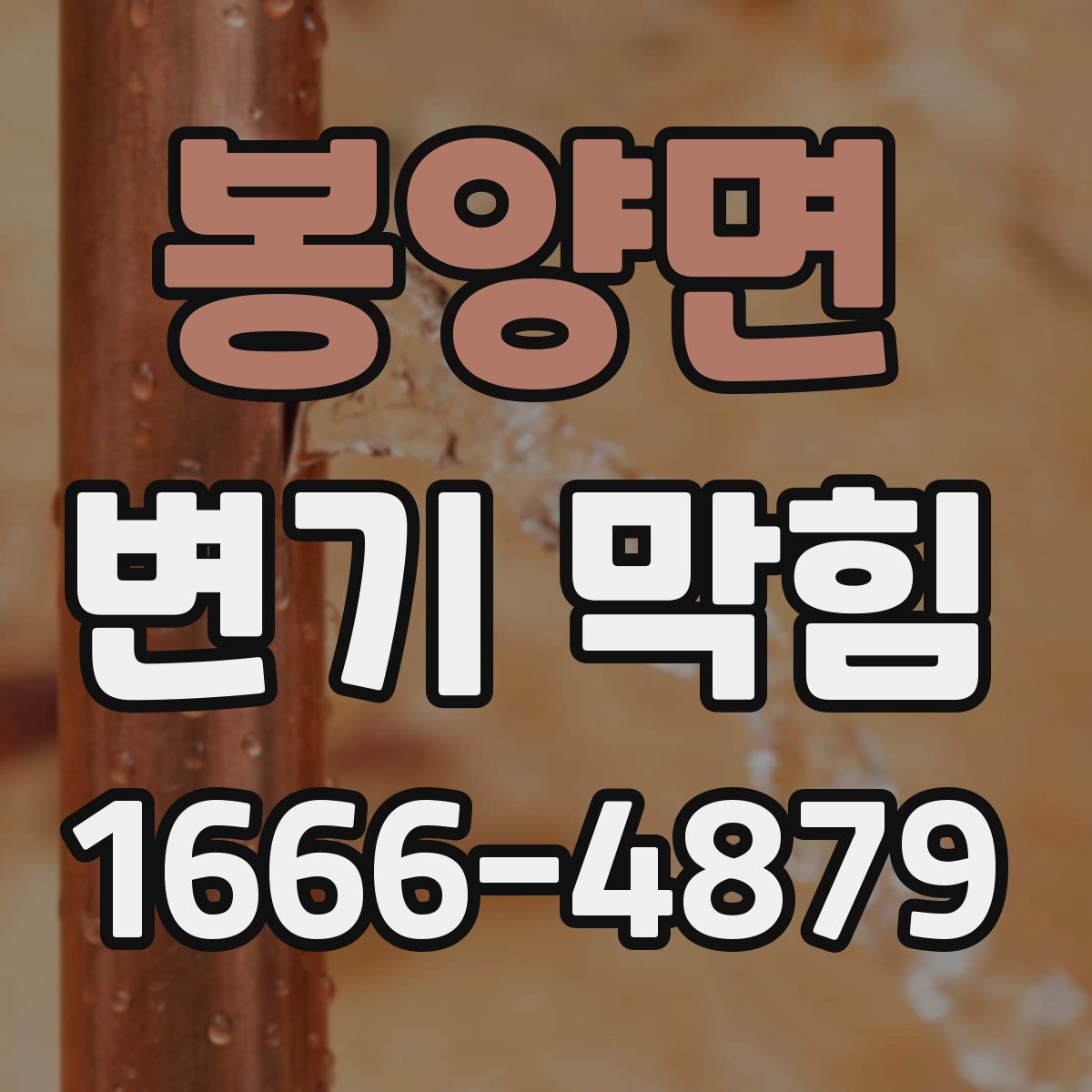 봉양면 변기 막힘