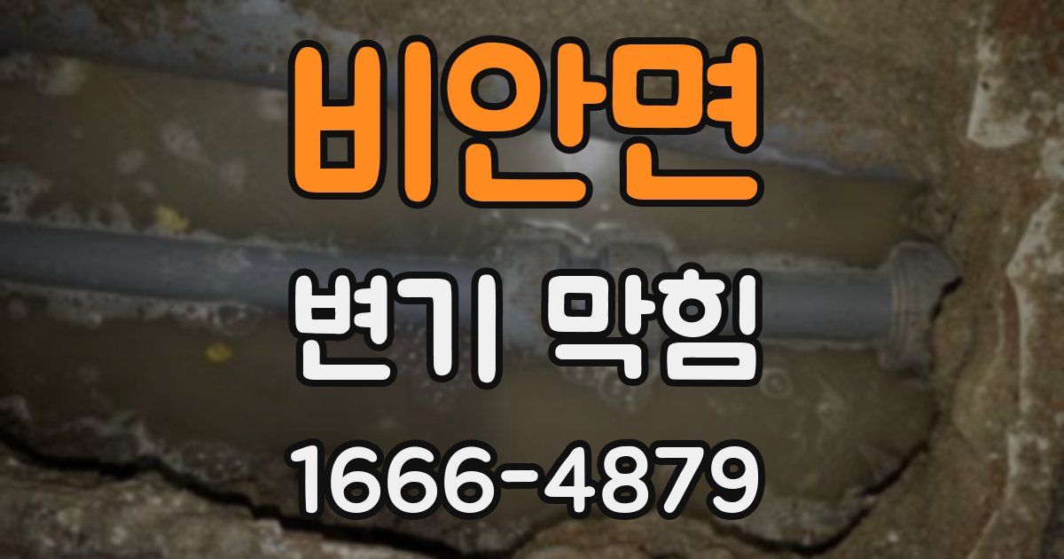 비안면 변기 막힘