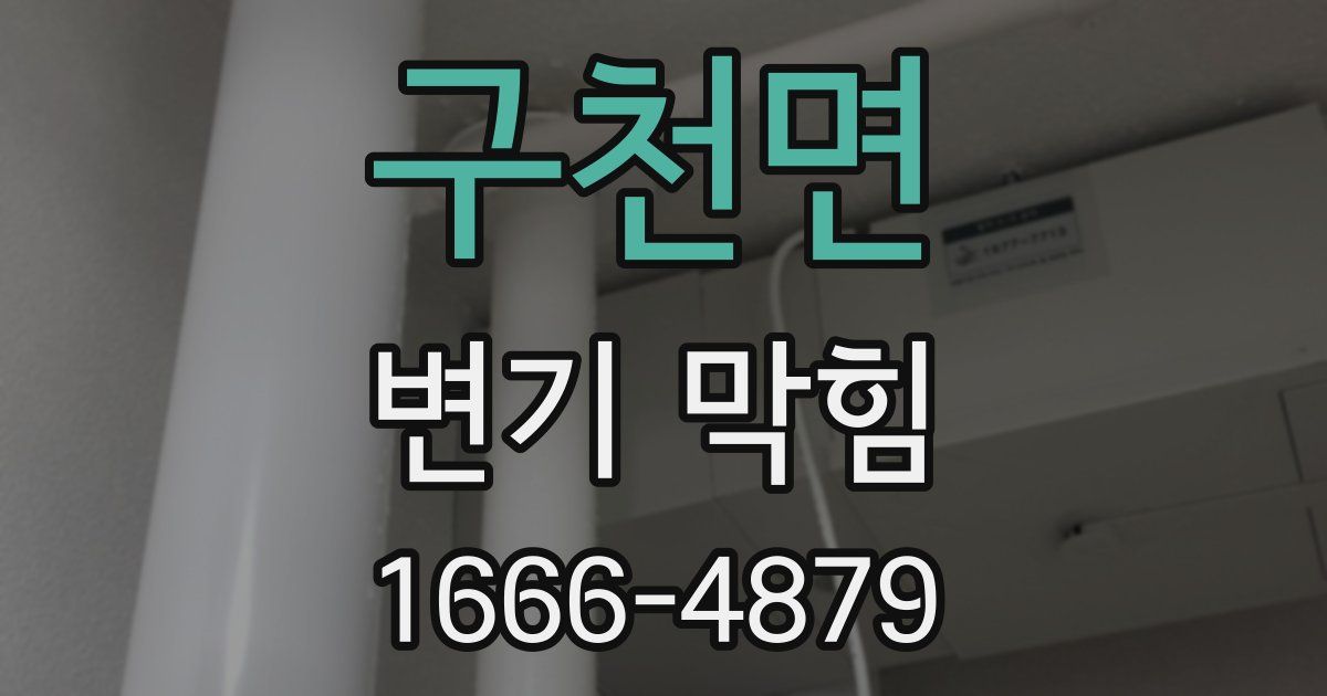 구천면 변기 막힘