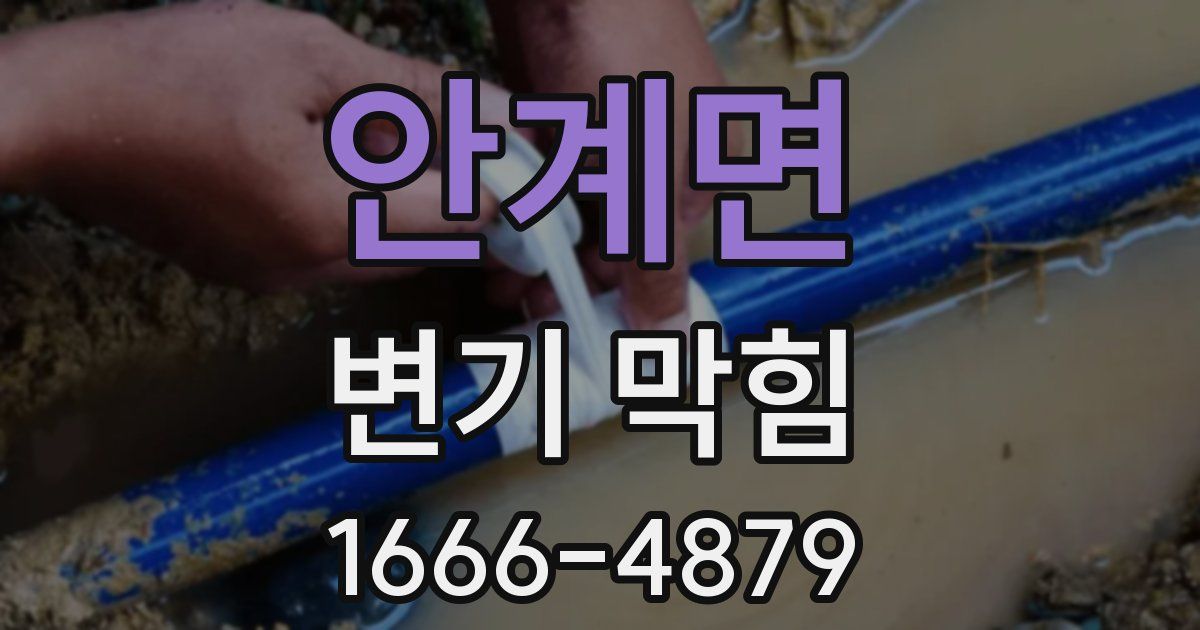안계면 변기 막힘