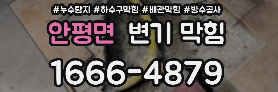 안평면 변기 막힘