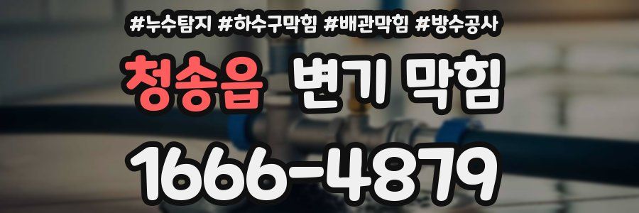 청송읍 변기 막힘