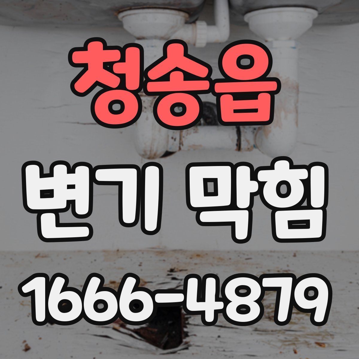 청송읍 변기 막힘