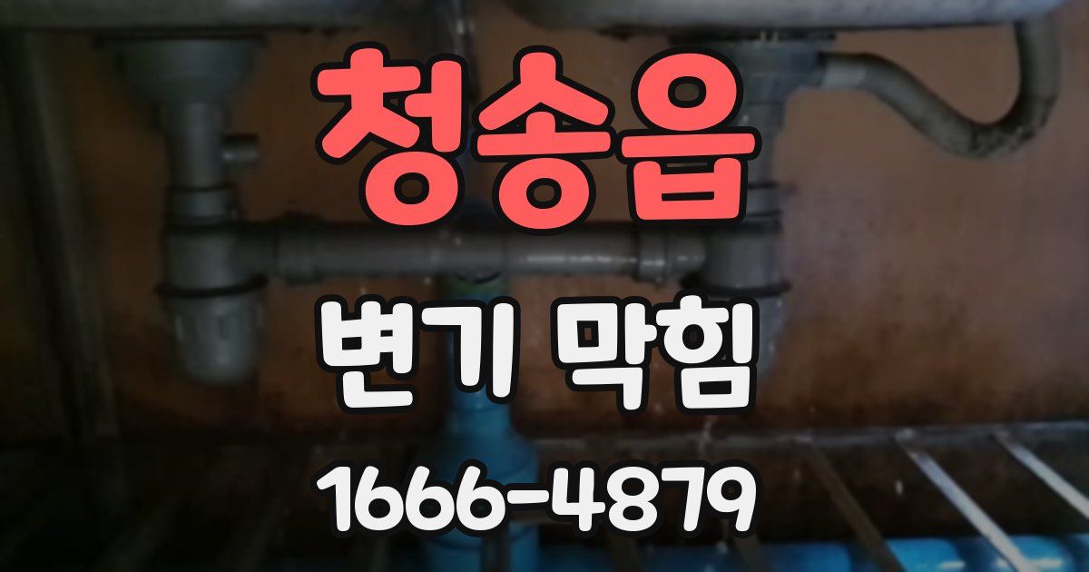 청송읍 변기 막힘