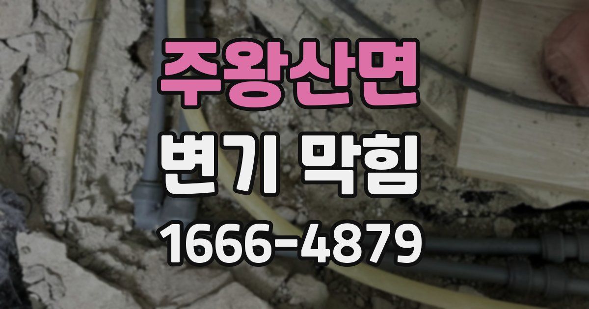 주왕산면 변기 막힘