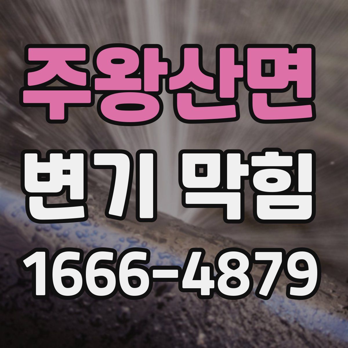 주왕산면 변기 막힘