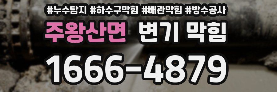 주왕산면 변기 막힘